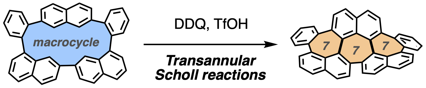 瀬川グループ 分子科学研究所